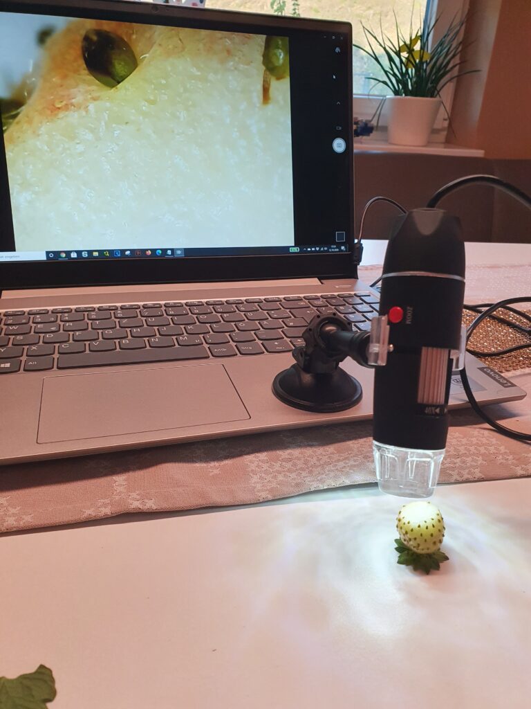 digitales Mikroskop Nahrung