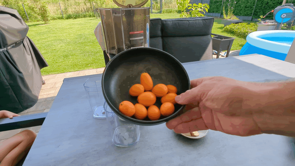 Kumquat