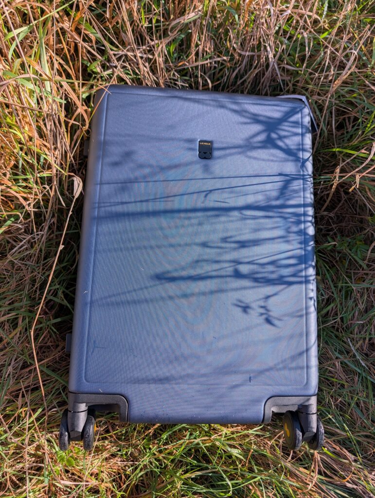 Luminous in freier Wildbahn