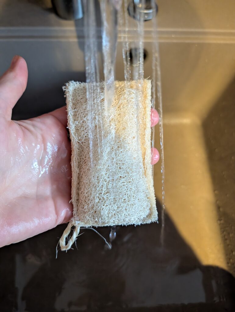 Schwämme aus Luffer Grashüpfer