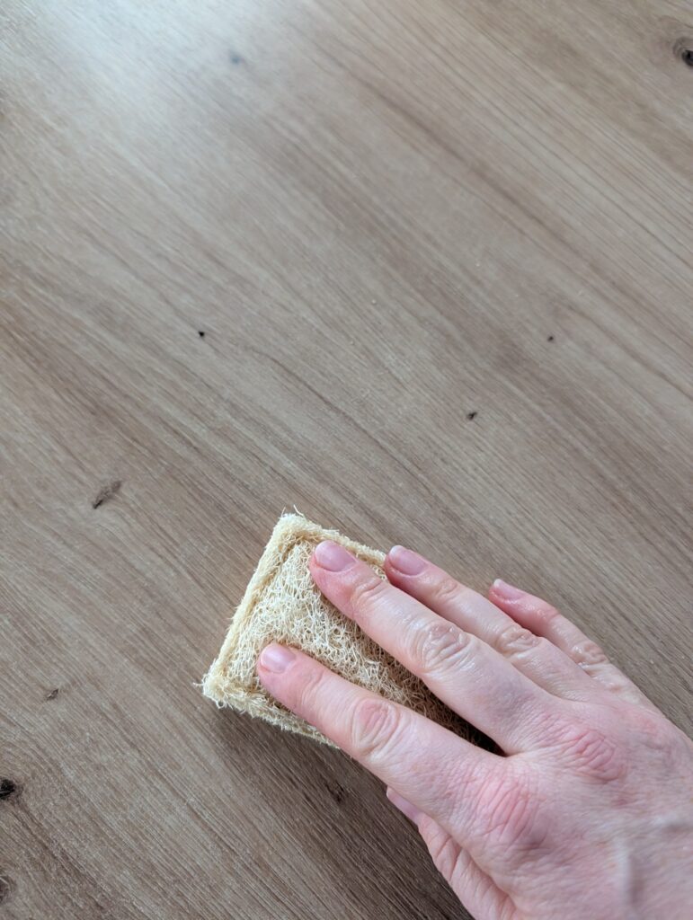 Schwämme aus Luffer Grashüpfer