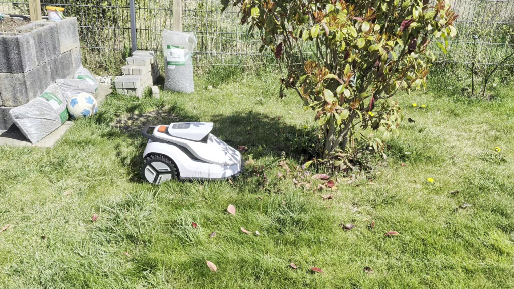 Die KI-Vision erkennt Büsche zuverlässig