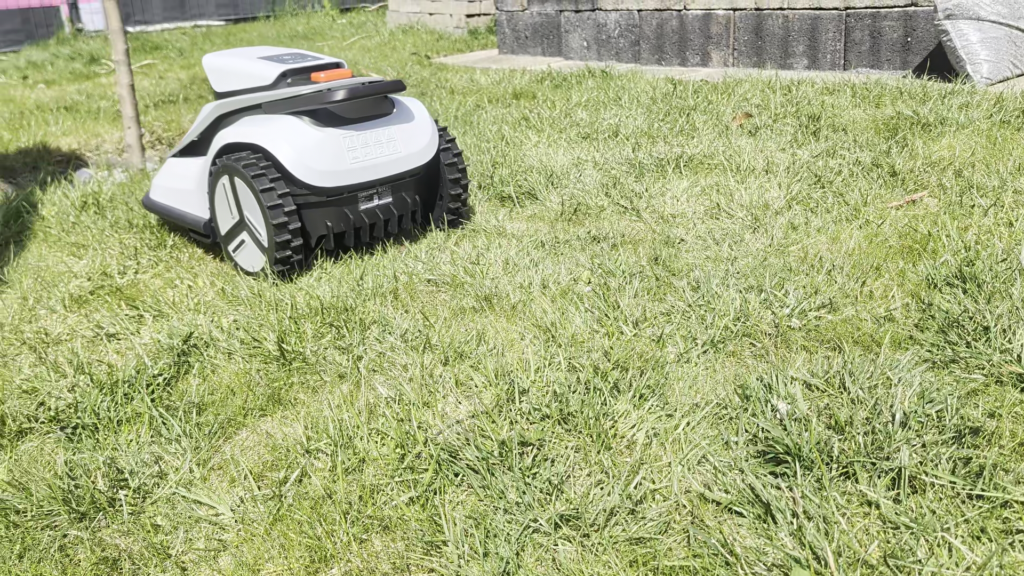 In festgelegten Bahnen wird gemäht